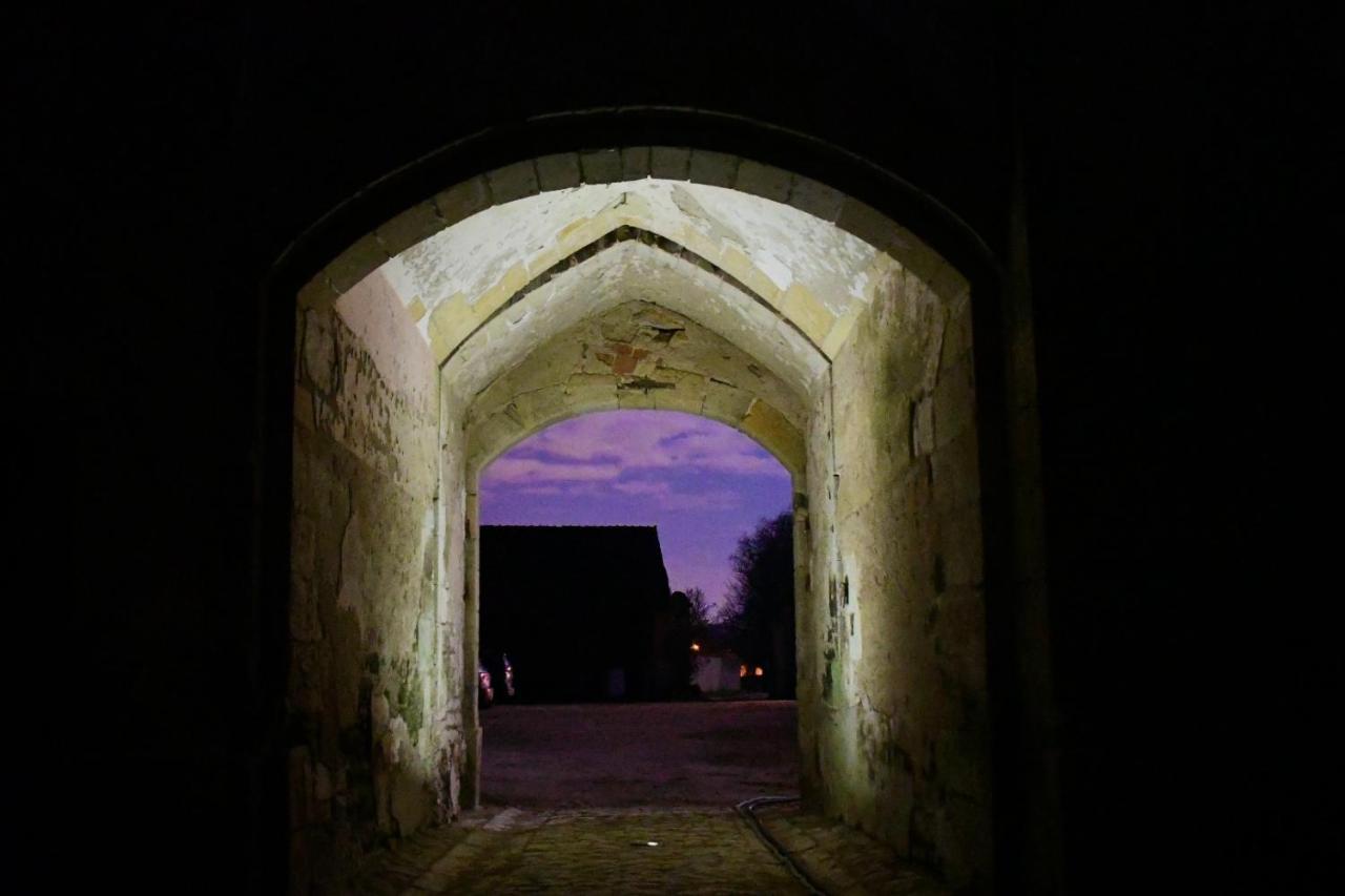 Un Chateau En Bourgogne Saincaize-Meauce Exterior foto